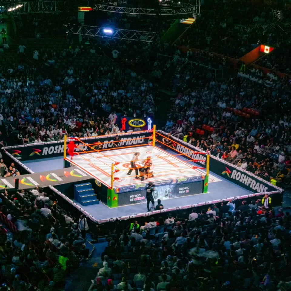 A brightly lit wrestling ring surrounded by an audience in a dark arena.
