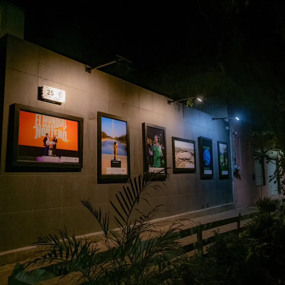 Framed pictures displayed along a lit wall, with plants below.