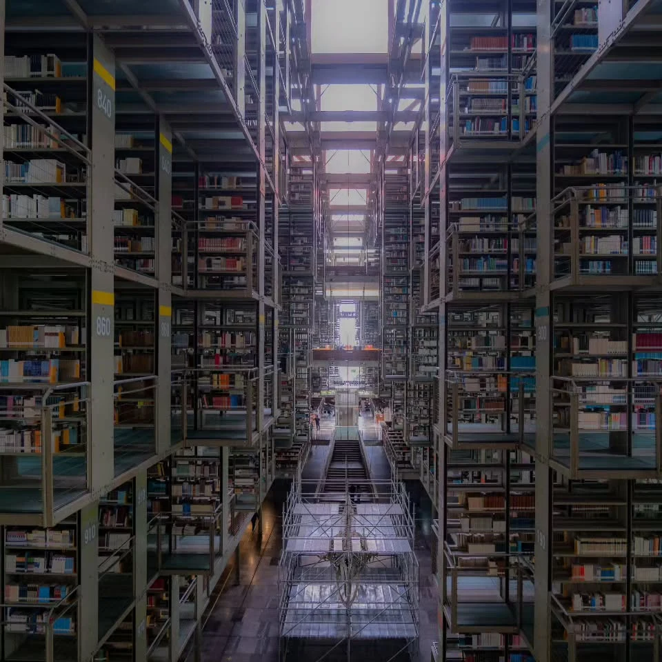 A photograph from Nawaar’s Mexico notebook: suspended library shelves.